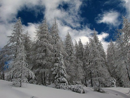 Vršič - ocena razmer - 15.01.2014